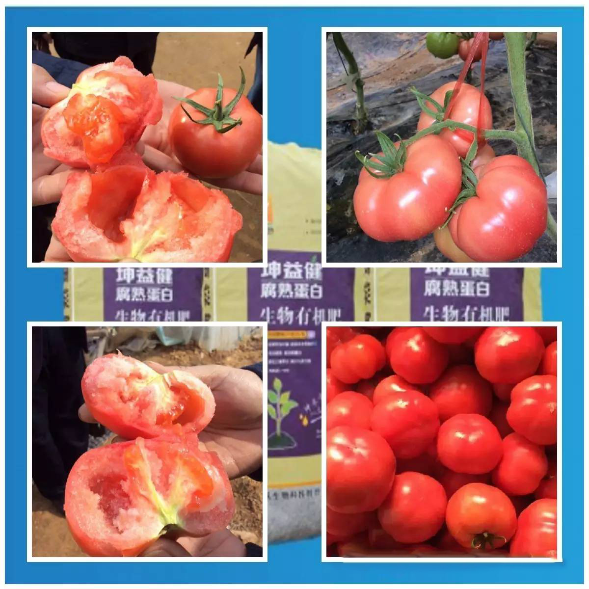 1495249835692510.jpg 66.jpg