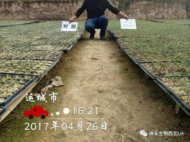 1495277047103246.jpg 微信圖片_20170520184104.jpg