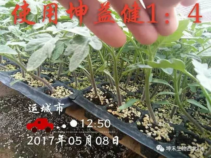 1495277108124615.jpg 微信圖片_20170520184124.jpg
