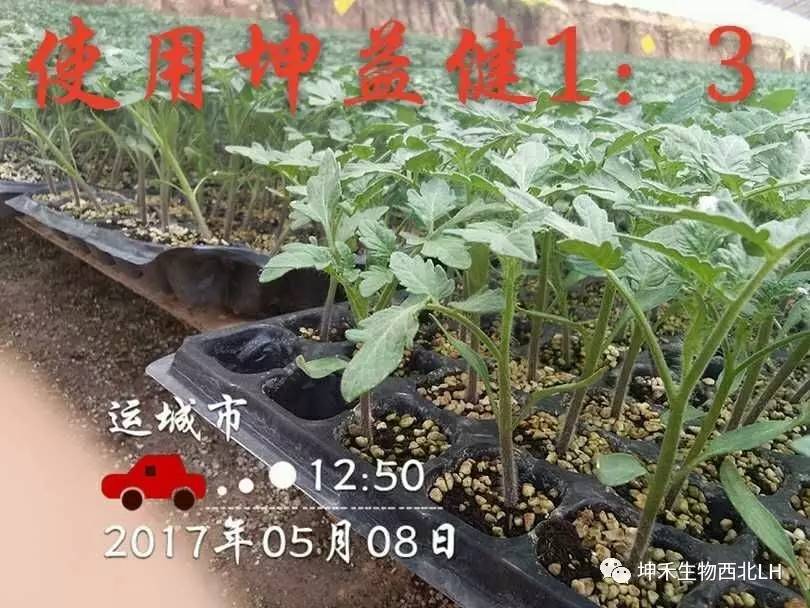 1495277141645175.jpg 微信圖片_20170520184119.jpg
