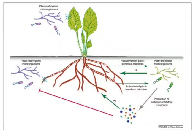 1495281920349288.jpg 微信圖片_20170520200017.jpg