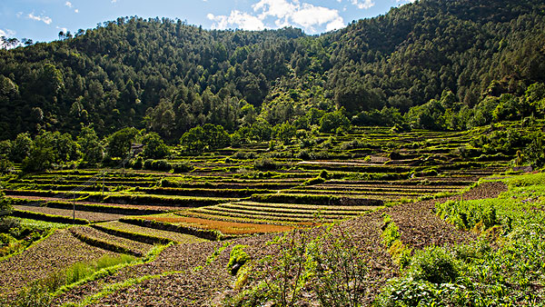 1509006879109459.jpg 中國耕地.jpg