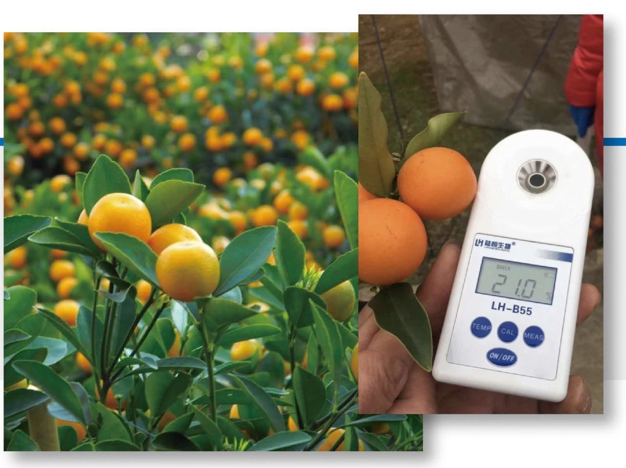 1525336885105126.jpg 微信圖片_20180503160327.jpg