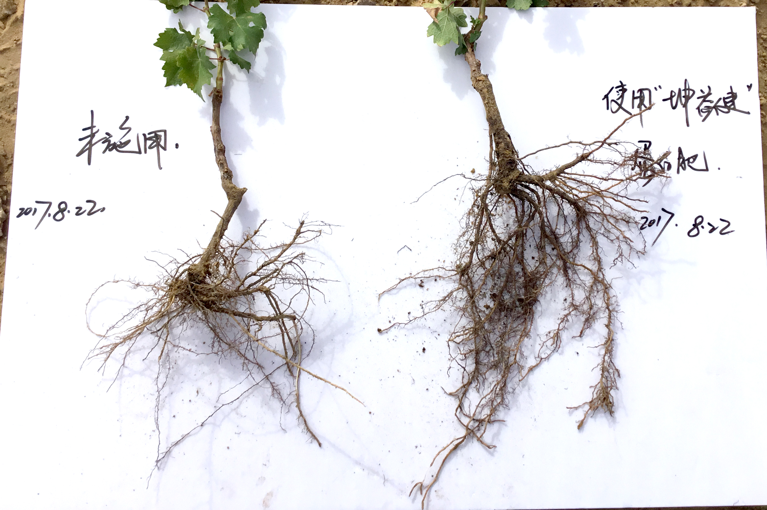 1527753545949281.jpg 微信圖片_20171013101154.jpg