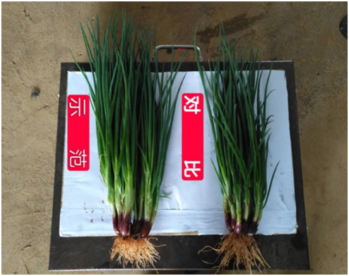 1583134125383602.png KUHK4814H1(SD[Y%``1_L3H.png