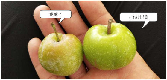 1583208634693159.png `309YE41KE$K0F~`XEE}VJ7.png