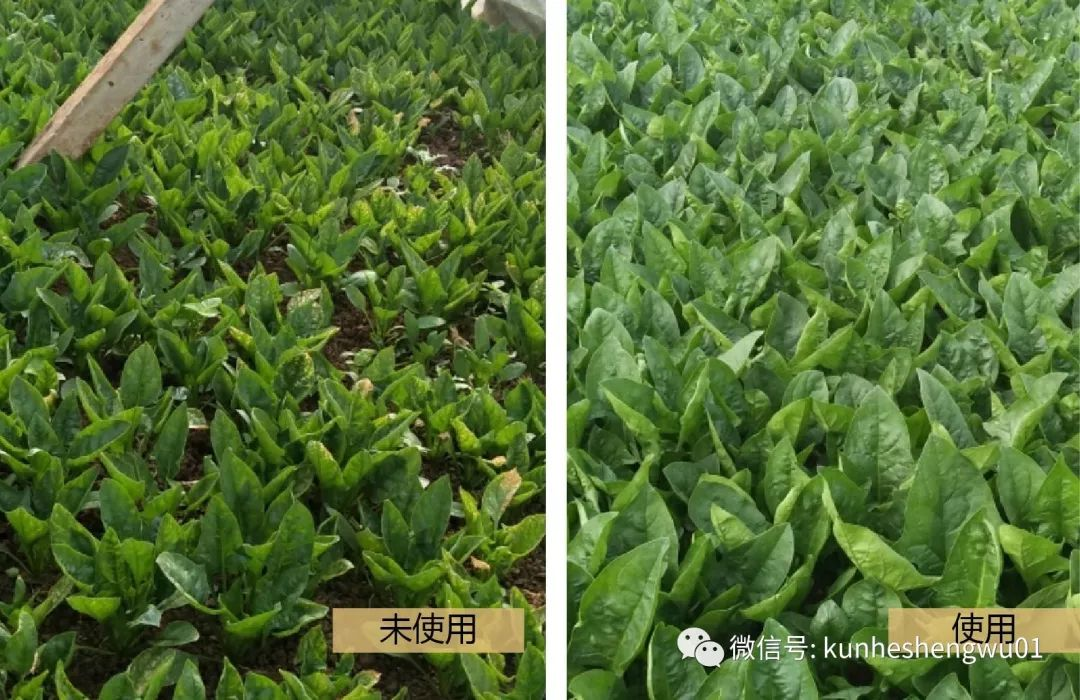 1583211422353568.png 8F2LN`VZ9$PTK66N(0Z$@B7.png