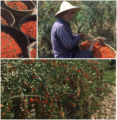 1583213748447806.png TI}IQH1RK0[4[HXG~86SQ%F.png