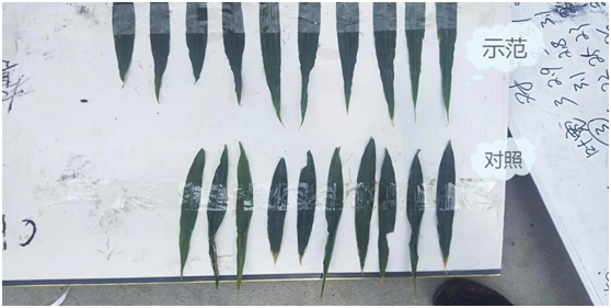 1583217501823073.png GP~P)S3O{LZ3SFWRJY`QO7T.png