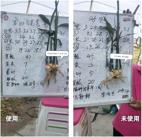 1583217558314176.png {TUWG3ZY1~E0TQRU9M25F5X.png