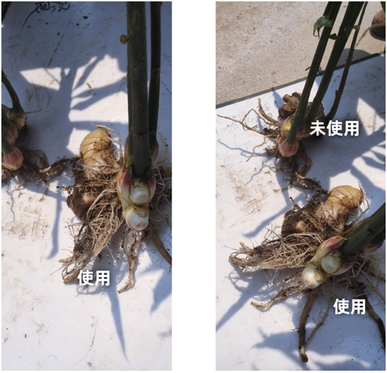 1583217807654227.png LE_7NDRQEGEN~98$X`5UQXR.png