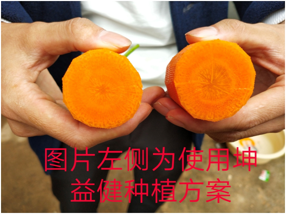 1583219836713147.png {AH7XGMM)MS}0Y_E(Y9L~PM.png