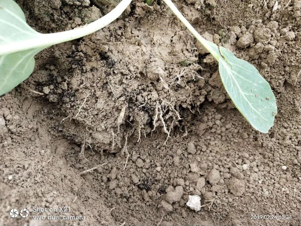 1587956529261012.jpg 微信圖片_20200427110154.jpg