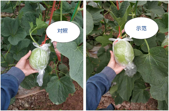 1587957500299707.jpg 微信圖片_20200427100102.jpg