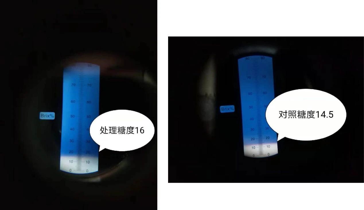 1587957839727236.jpg 微信圖片_20200427112351.jpg