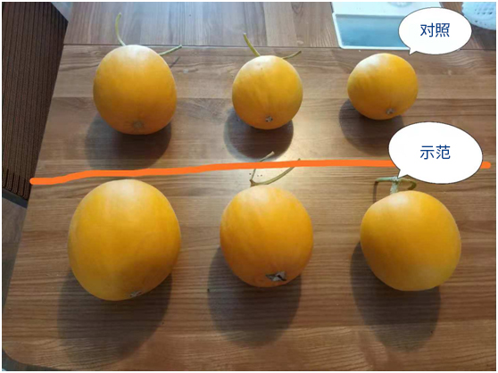 1587957861566192.jpg 微信圖片_20200427100054.jpg