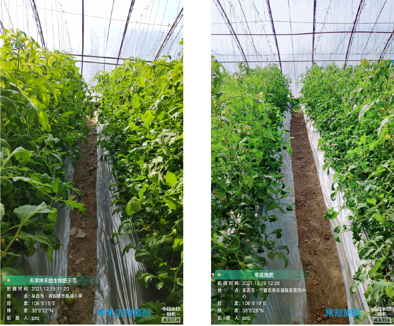 1652671167529675.jpg 3-01.jpg