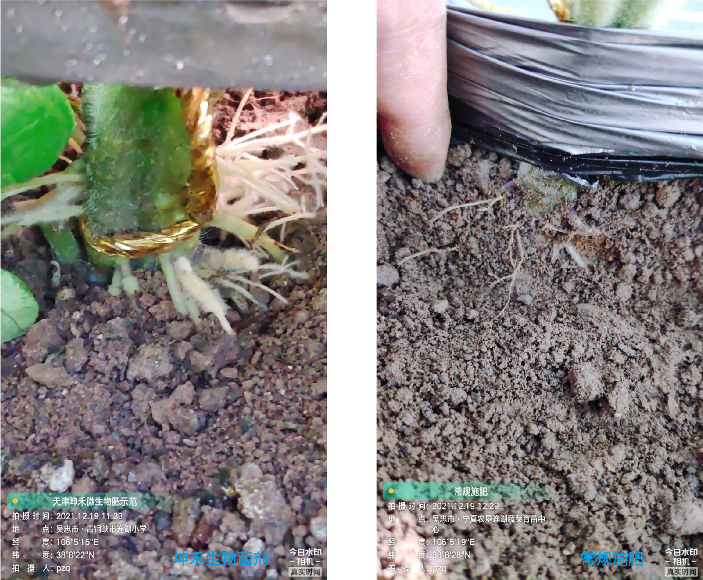 1652671263173342.jpg 9-01.jpg