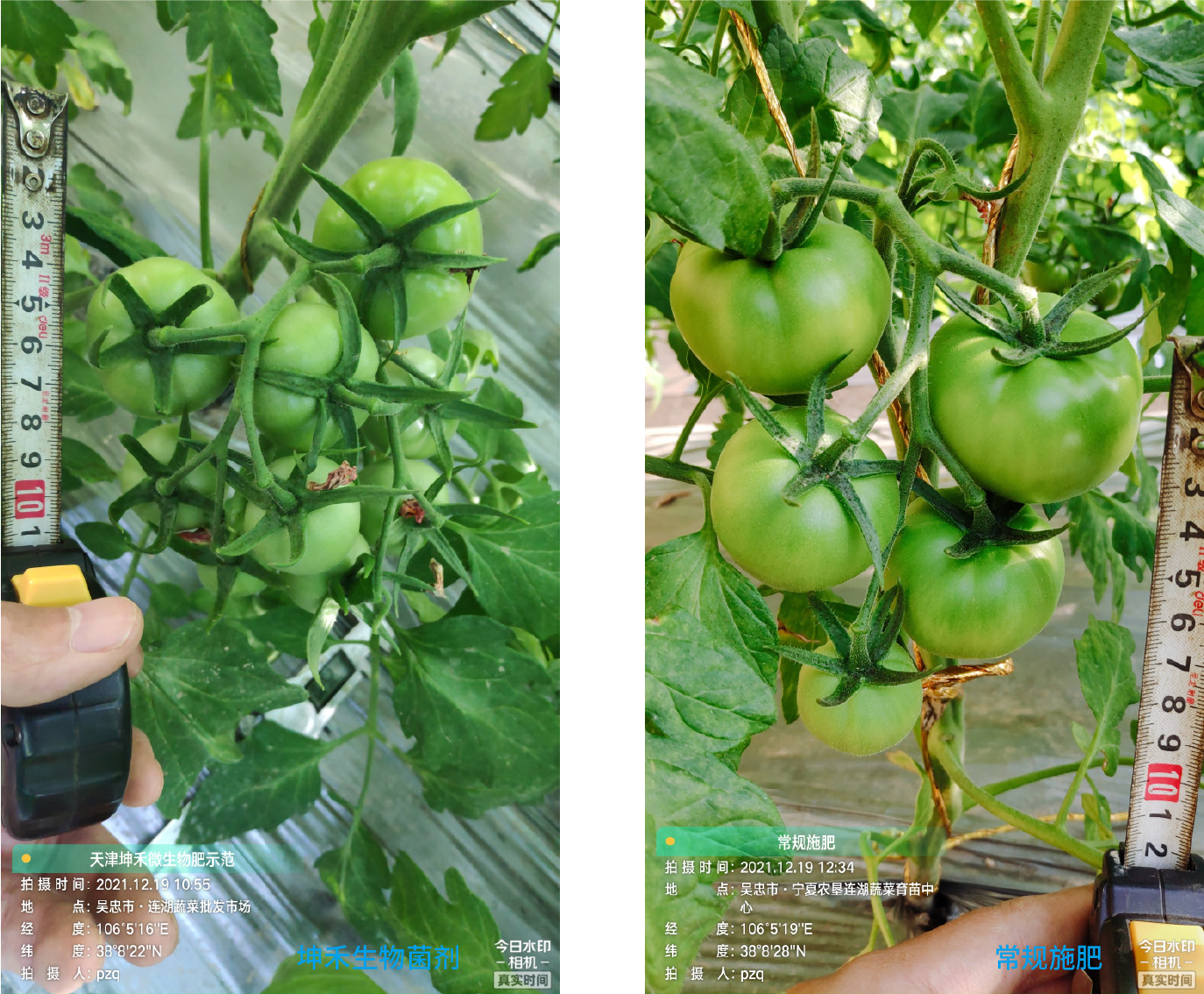 1652671281119190.jpg 10-01.jpg