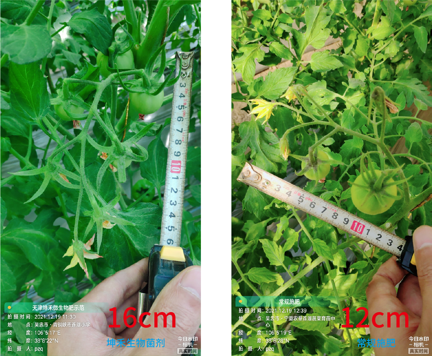 1652671295500293.jpg 11-01.jpg