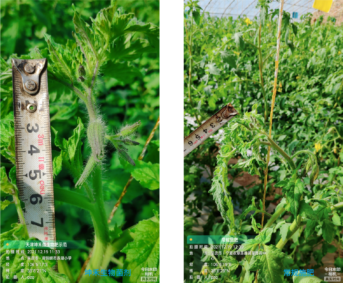 1652671345918625.jpg 14-01.jpg