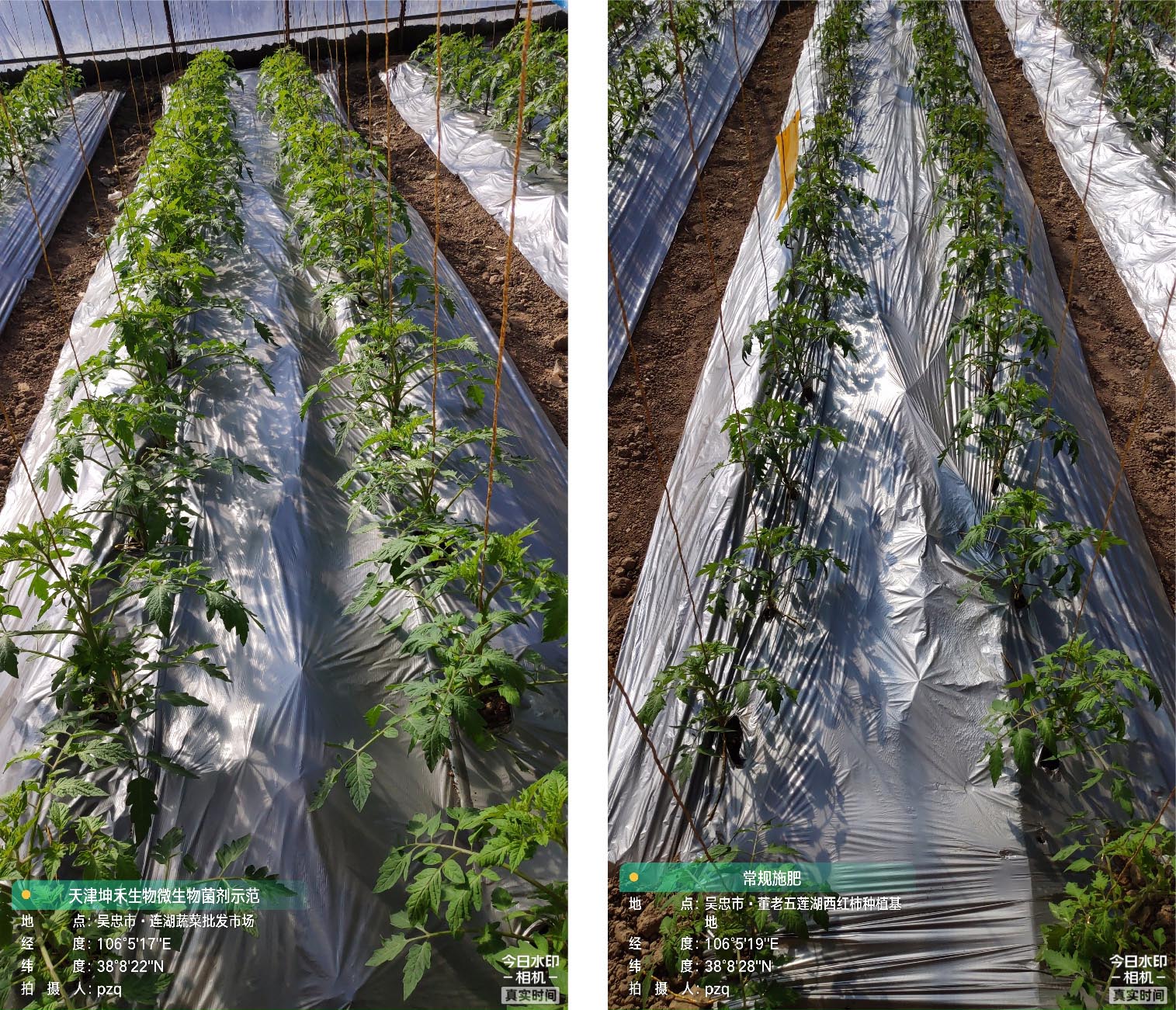 1652672261364710.jpg 8-01.jpg