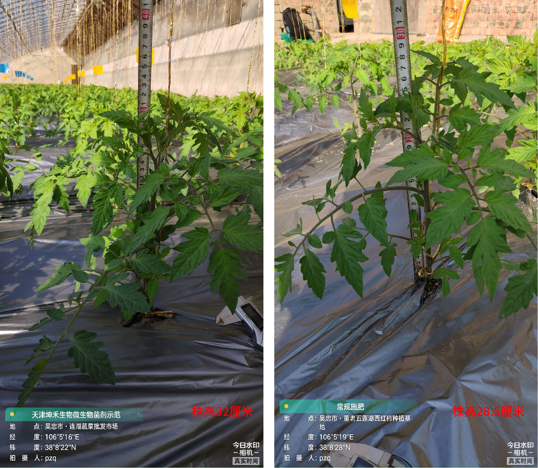 1652672274506260.jpg 9-01.jpg