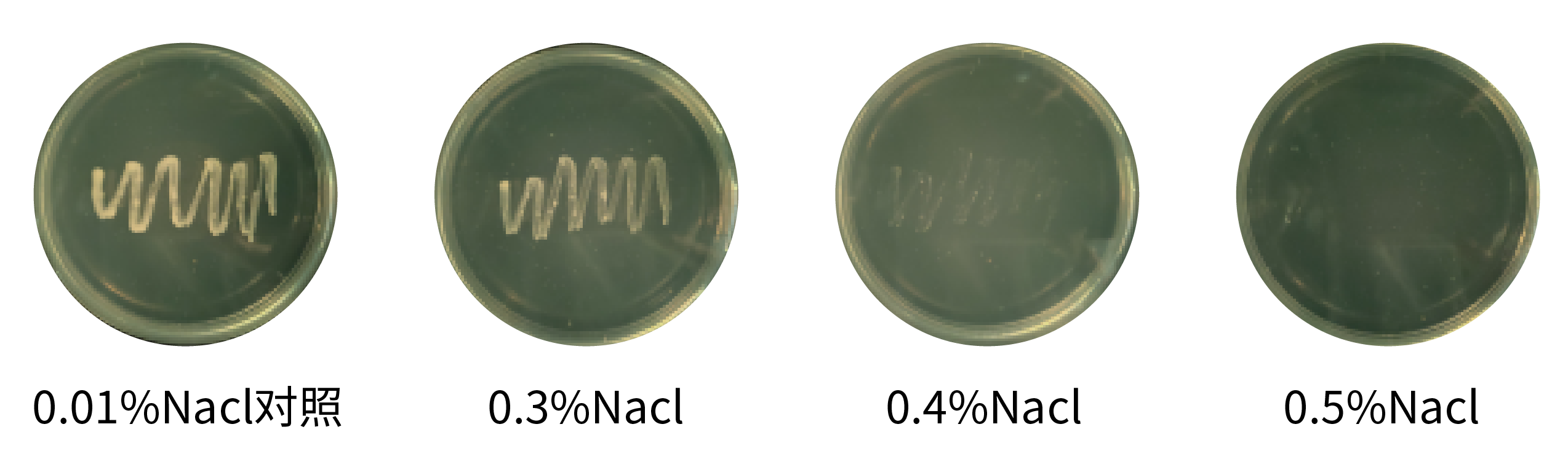 1672891018750324.png 未標(biāo)題-2-01.png