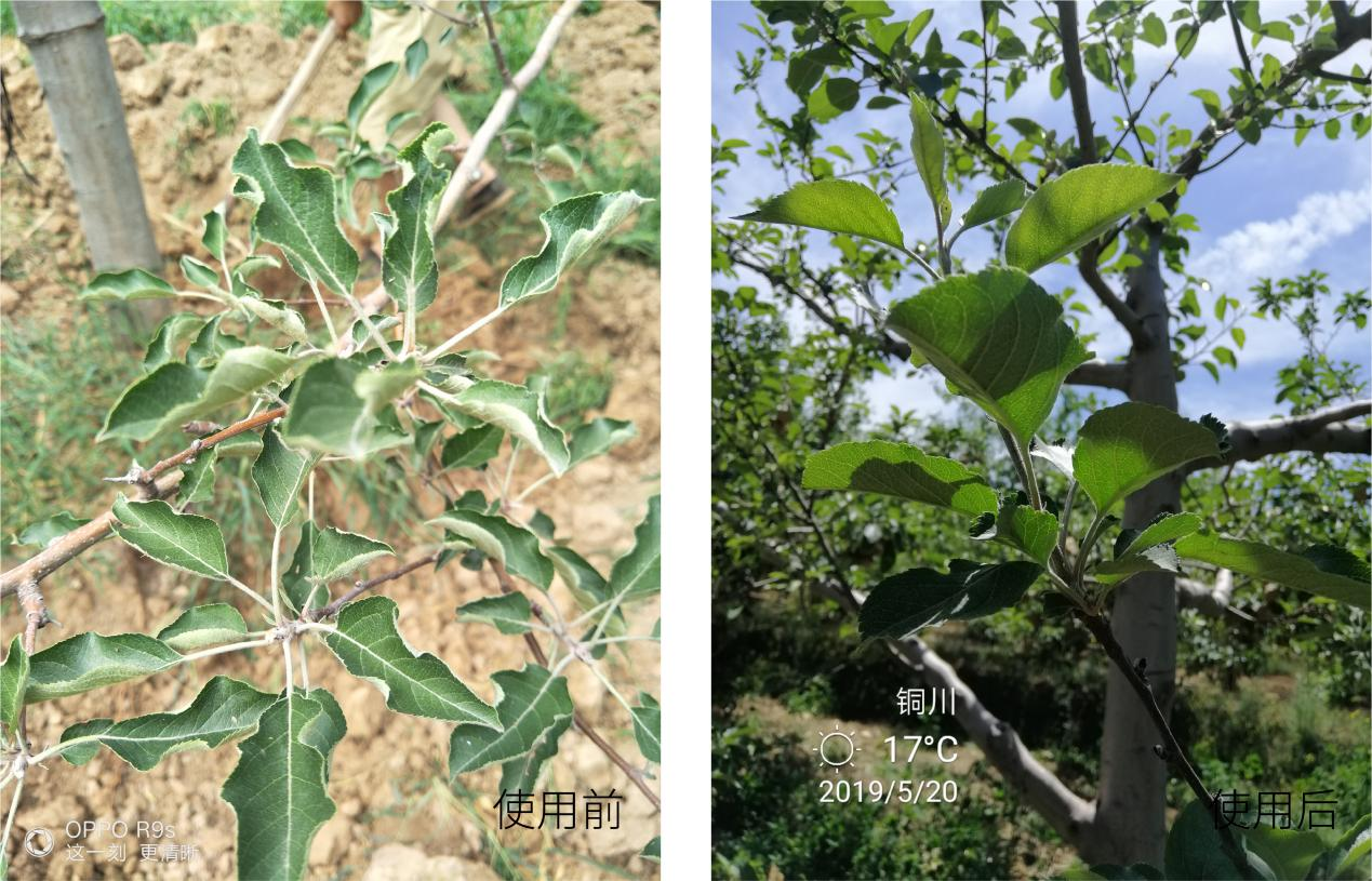 1683615680966423.png 圖片4.png