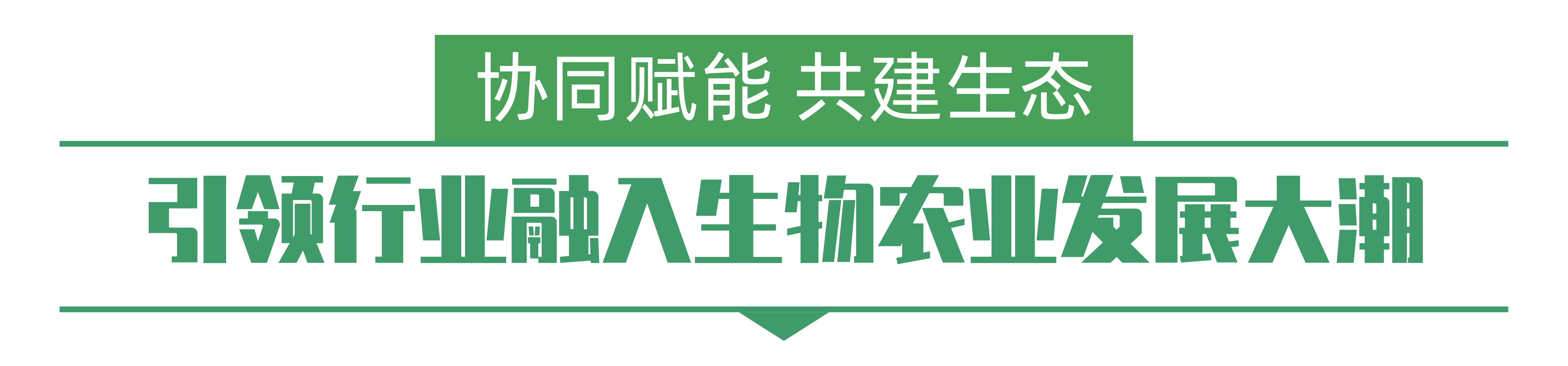 1702258896810656.png 640 (1)-01.png