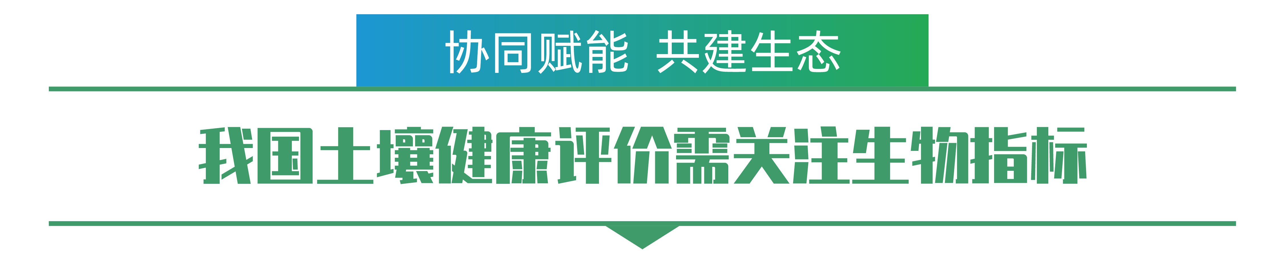 1702259150121398.png 李剛-01.png