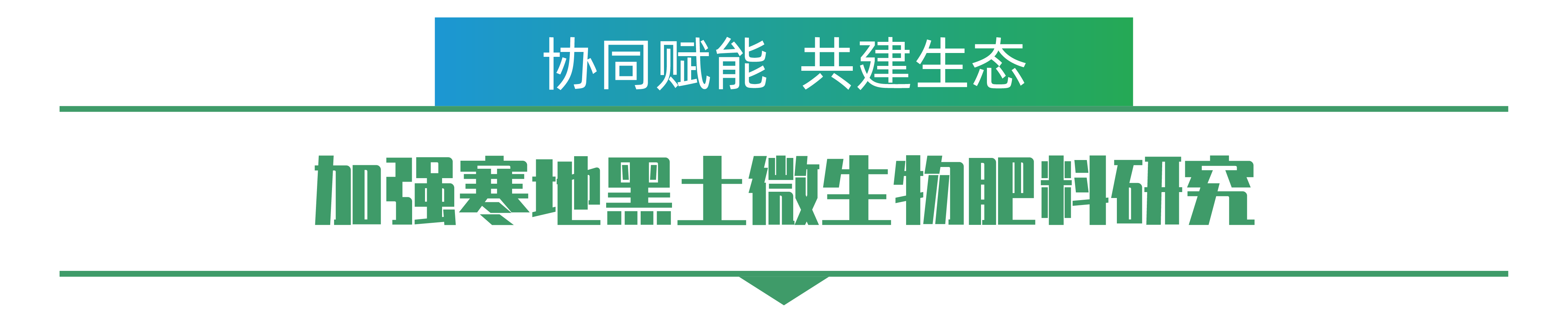 1702259262300238.png 王佳龍-01.png