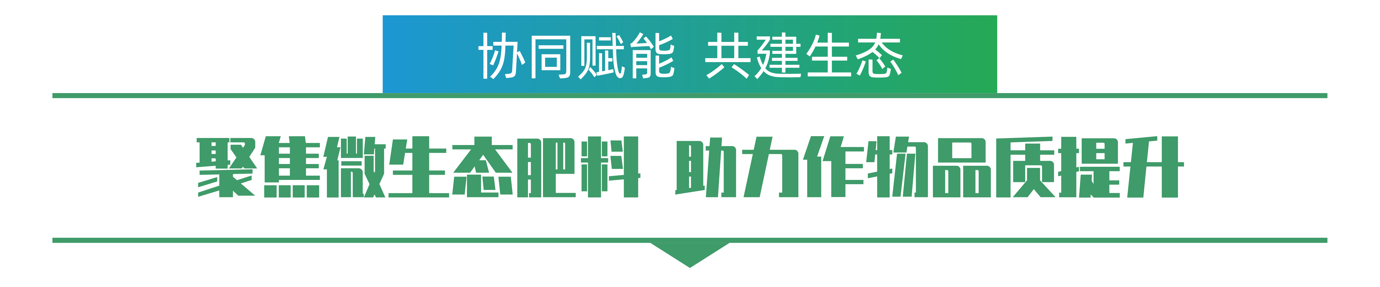 1702259309854289.png 韓志文-01.png